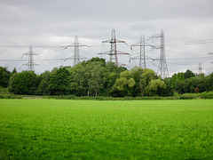 Pylons at Drakelow from near Grove Wood