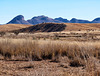 The Mustang Mountains