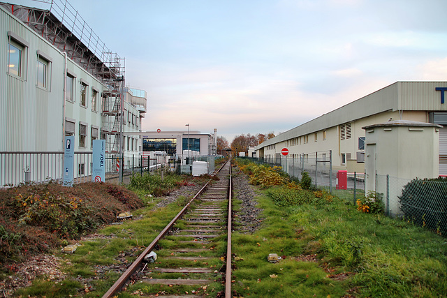 Bahnstrecke Moers–Hoerstgen-Sevelen (Neukirchen-Vluyn) / 9.11.2018