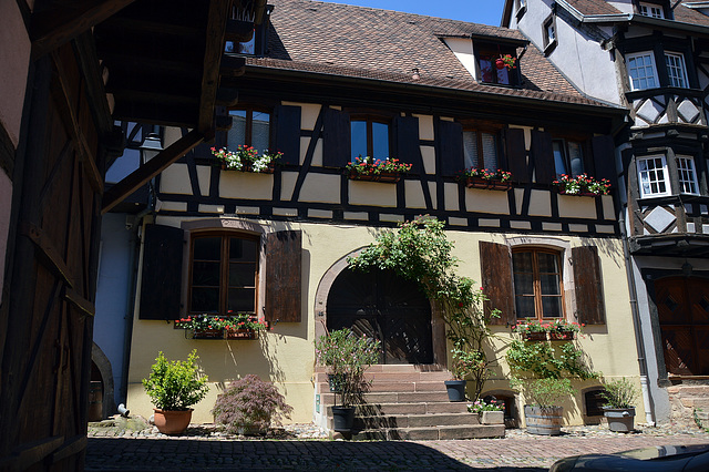 Fachwekhäuser auf Schritt und Tritt in Eguisheim