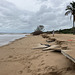 After the Storm 0225
