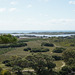 View From The Lighthouse