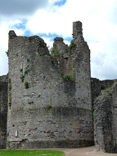 Chepstow Castle