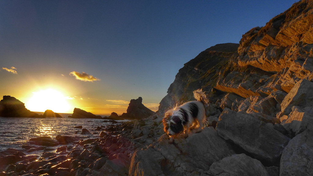 Radish on rocks 28:12:17 3