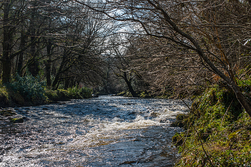 Dartmoor - 20180325