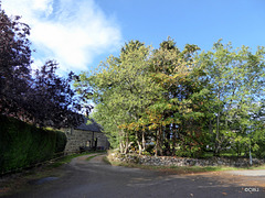 Early autumn colours turning this year.