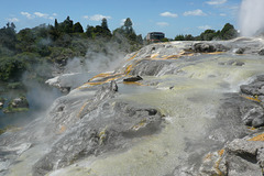 Pohutu Geysir