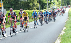 Tour de France 2021 étape Mourenx Libourne, le peloton 15km avant l'arrivée à Libourne