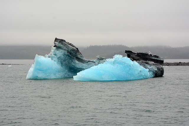 Alaska, Drifting Floe in the Columbia Bay