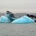 Alaska, Drifting Floe in the Columbia Bay