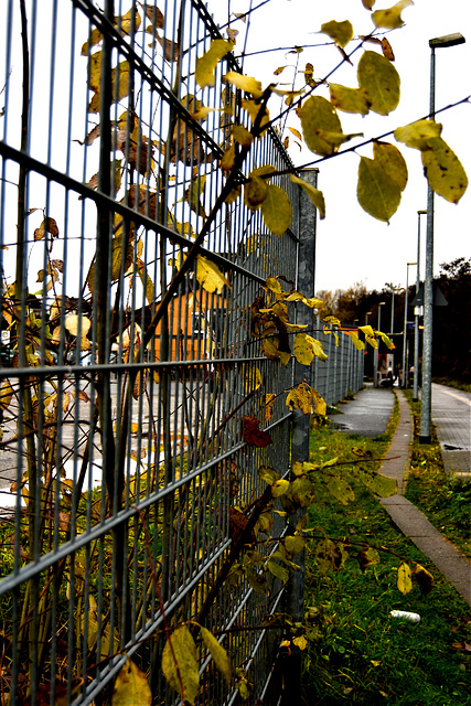 Fence at Mörlenbach station