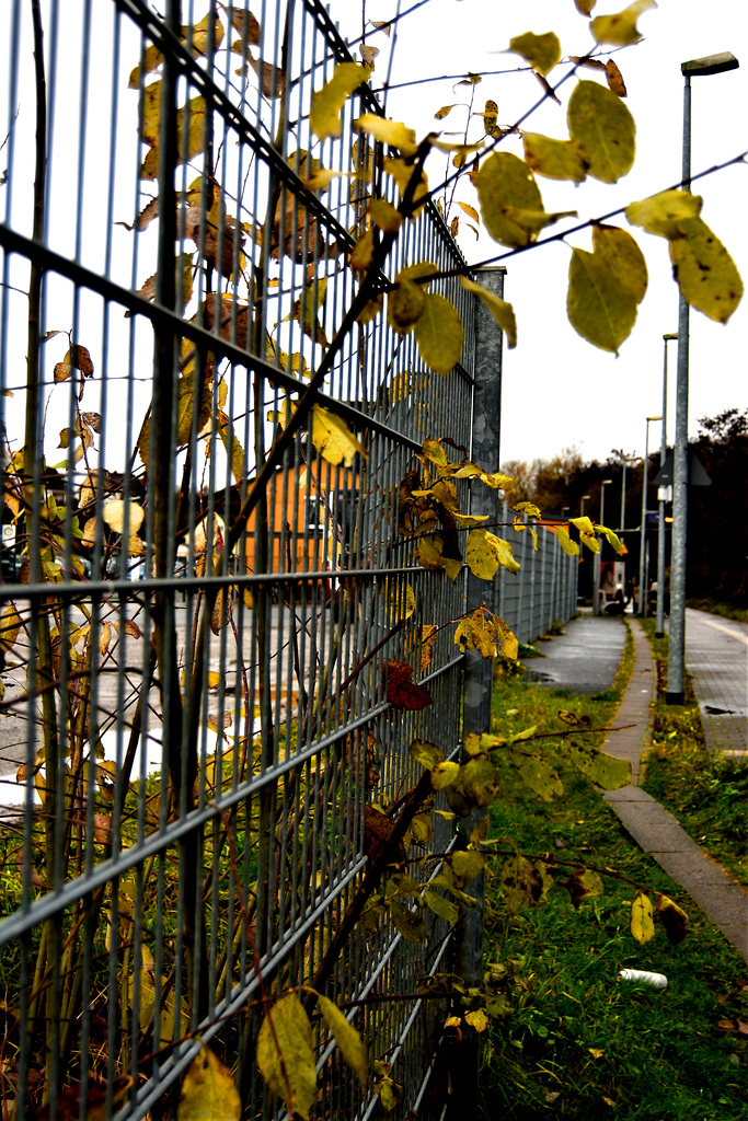 Fence at Mörlenbach station