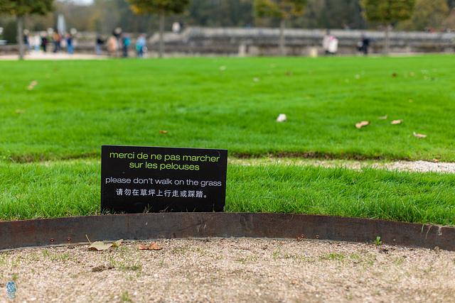 Please don't walk on the grass, ...