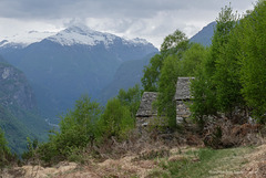 9 cascine sotto Marena