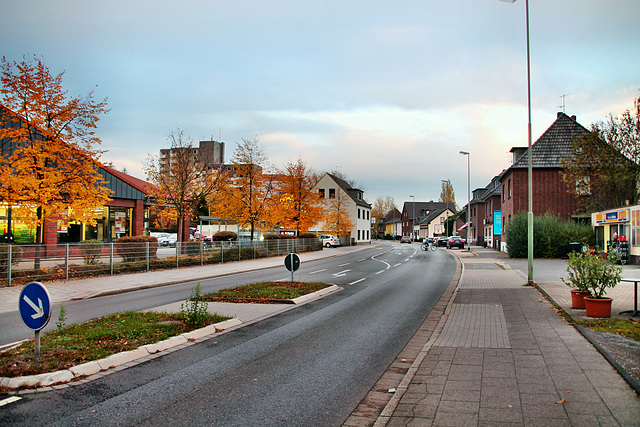 Niederrheinallee (Neukirchen-Vluyn) / 9.11.2018