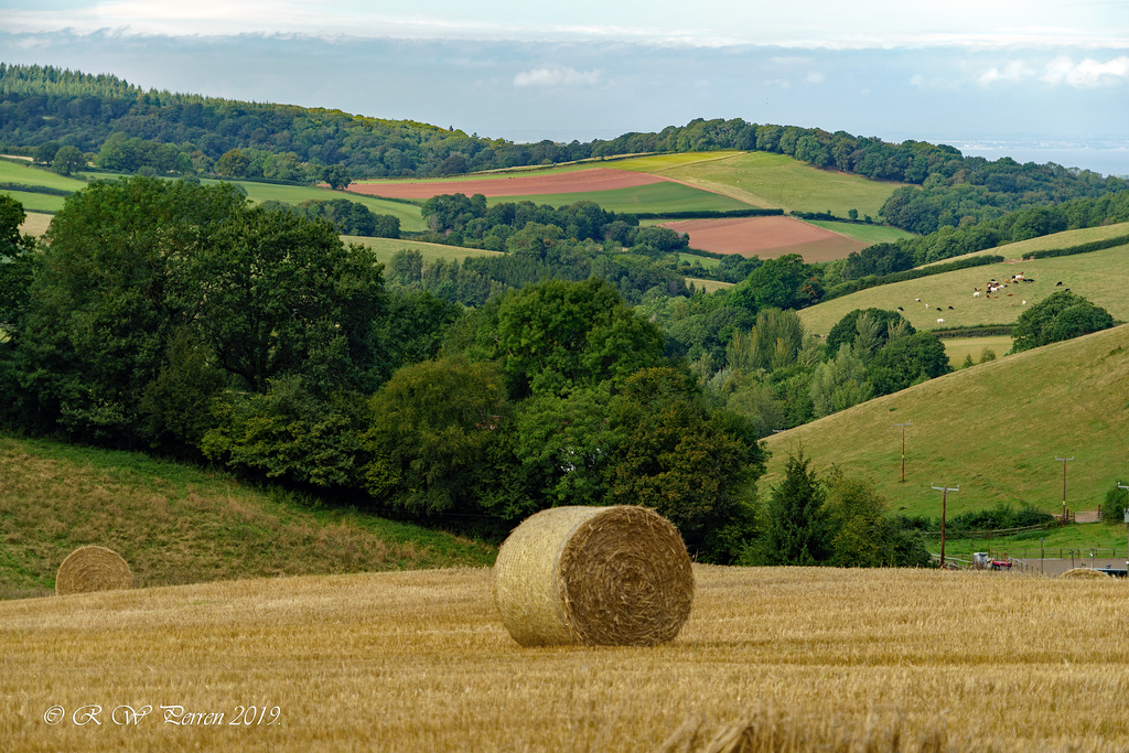 Harvest on the Quantock Hills