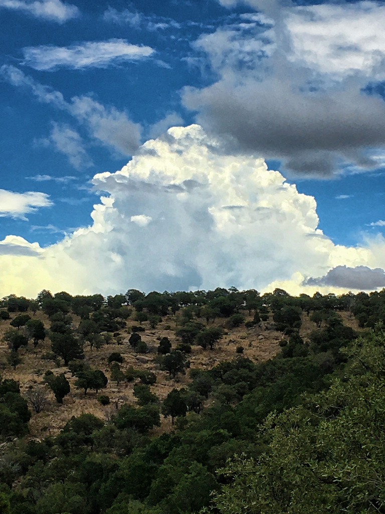 When Clouds Bubble Up