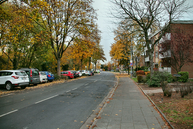 Springenweg (Neukirchen-Vluyn) / 9.11.2018