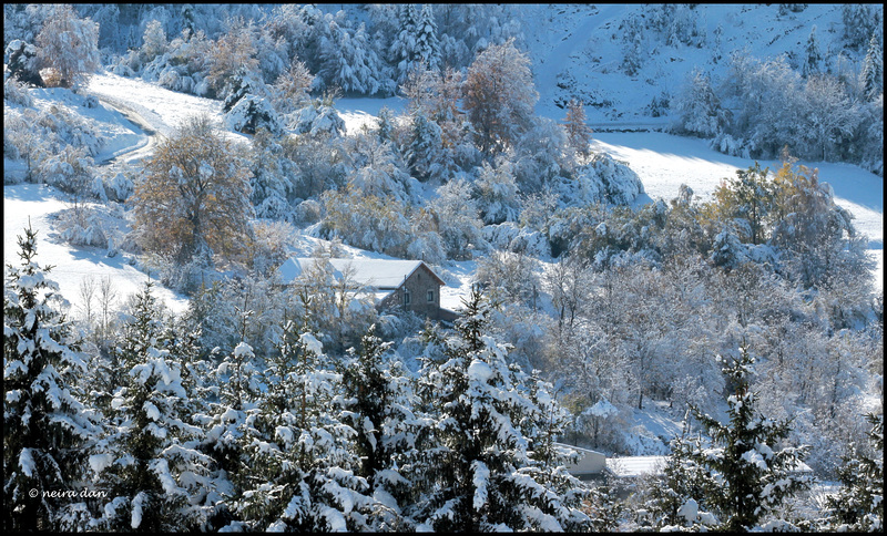 un 15 novembre