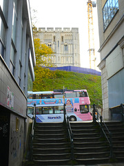 Norwich Castle and a Pink Line bus - 2 Dec 2022 (P1140152)