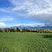 Marchhügel