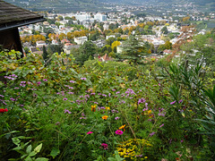 Garten mit Blick auf Meran