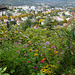 Garten mit Blick auf Meran