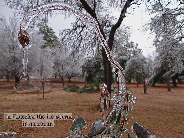 "Storm" ~ Ice Storm ~ For the Poetography Group