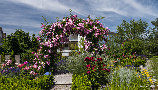 Schöner Garten