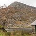 Llyn Ogwen3