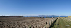 View across the fields above Cromarty to the snowclad hills beyond