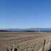 View across the fields above Cromarty to the snowclad hills beyond