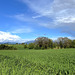 Marchhügel