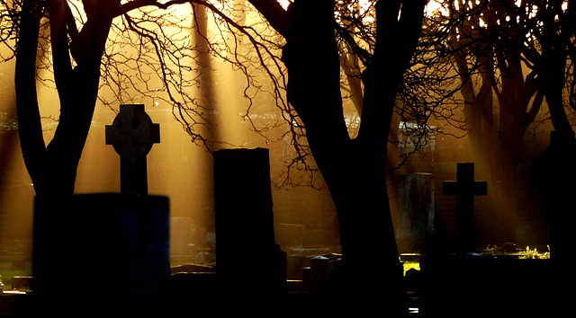 Whitley Bay Cemetery