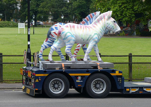 Zany Zebras On Parade_033 - 12 July 2016