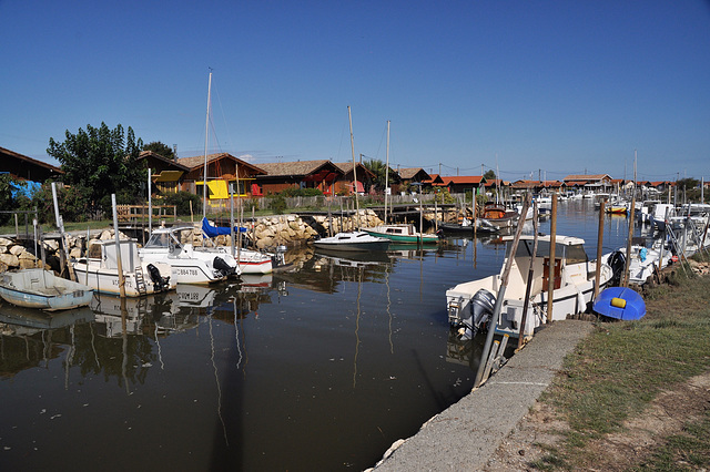 Cycling from Bordeaux Vineyards to the Atlantic Coast /Salt marshes / La Teste-de-Buch