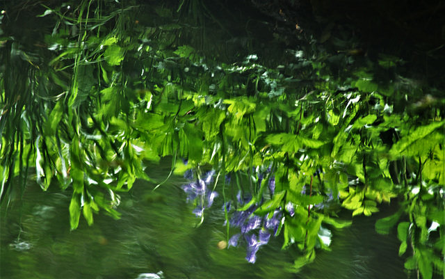 Water Reflection/Abstract