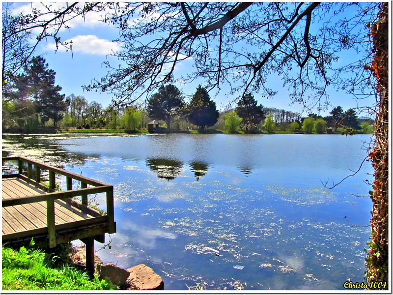 Spring awakening by the lake - HFF