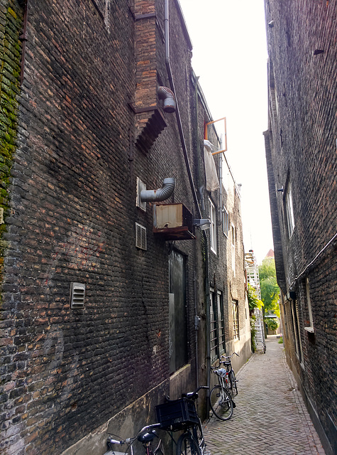 Dordrecht 2014 – Alley