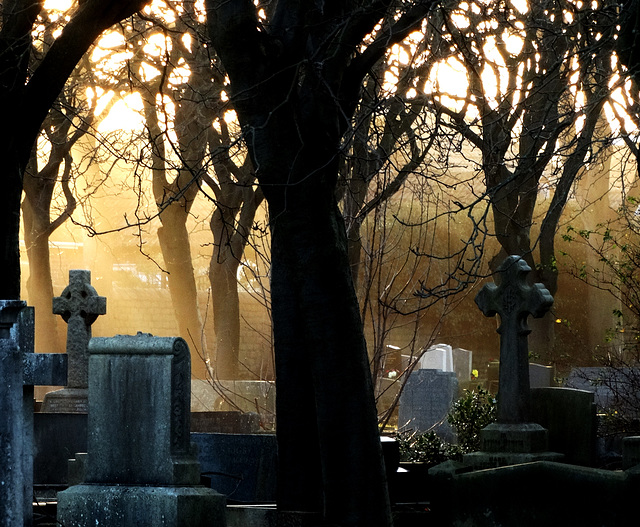 Whitley Bay Cemetery