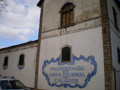 Regional Wine Cellars of Colares.