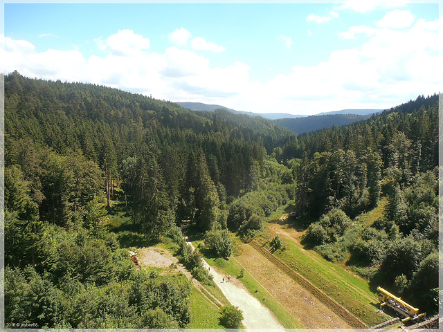 Blick hinunter von der Schwarzenbachtalsperre