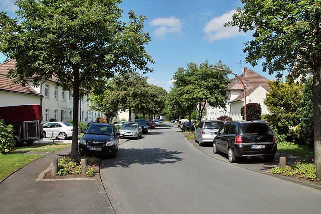 Teutoburgiahof (Siedlung Teutoburgia, Herne-Börnig) / 25.05.2019