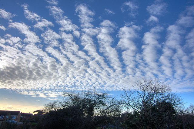 Afternoon Cloud   /   Jan 2022