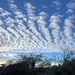 Afternoon Cloud   /   Jan 2022