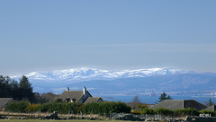 The snowclad hills from the hills above Cromarty