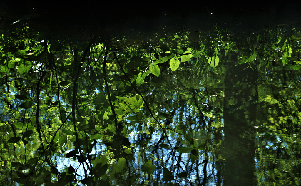 Water Refection/Abstract