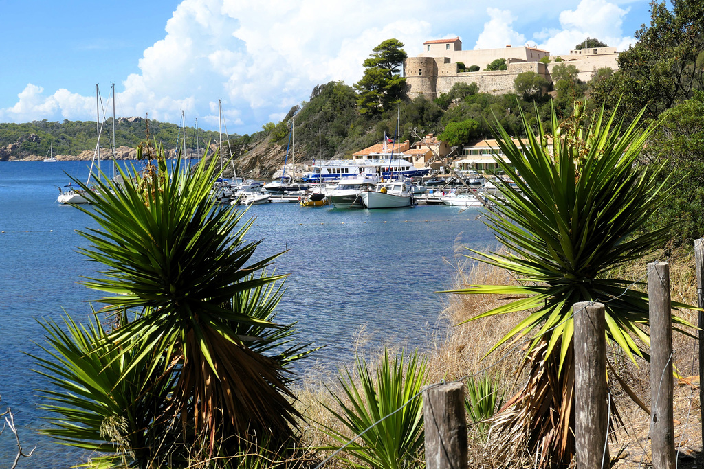 Île de Port-Cros