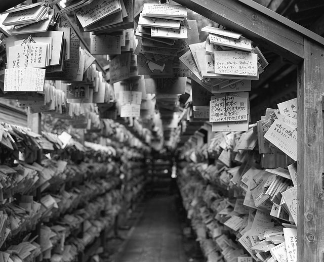 Tunnel of wishing tablets