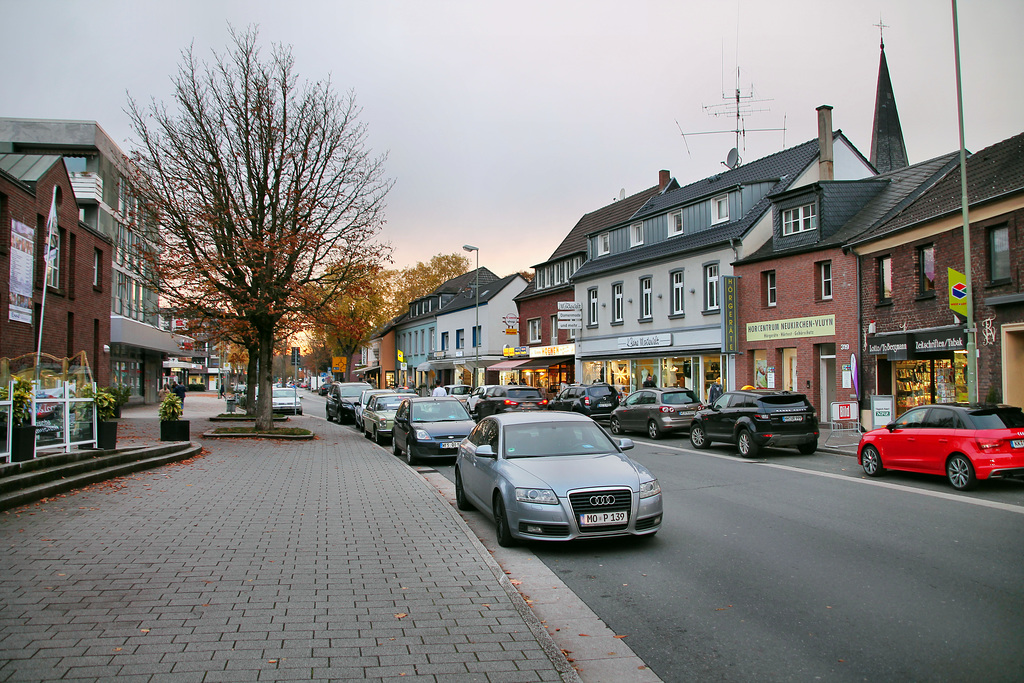 Niederrheinallee (Neukirchen-Vluyn) / 9.11.2018